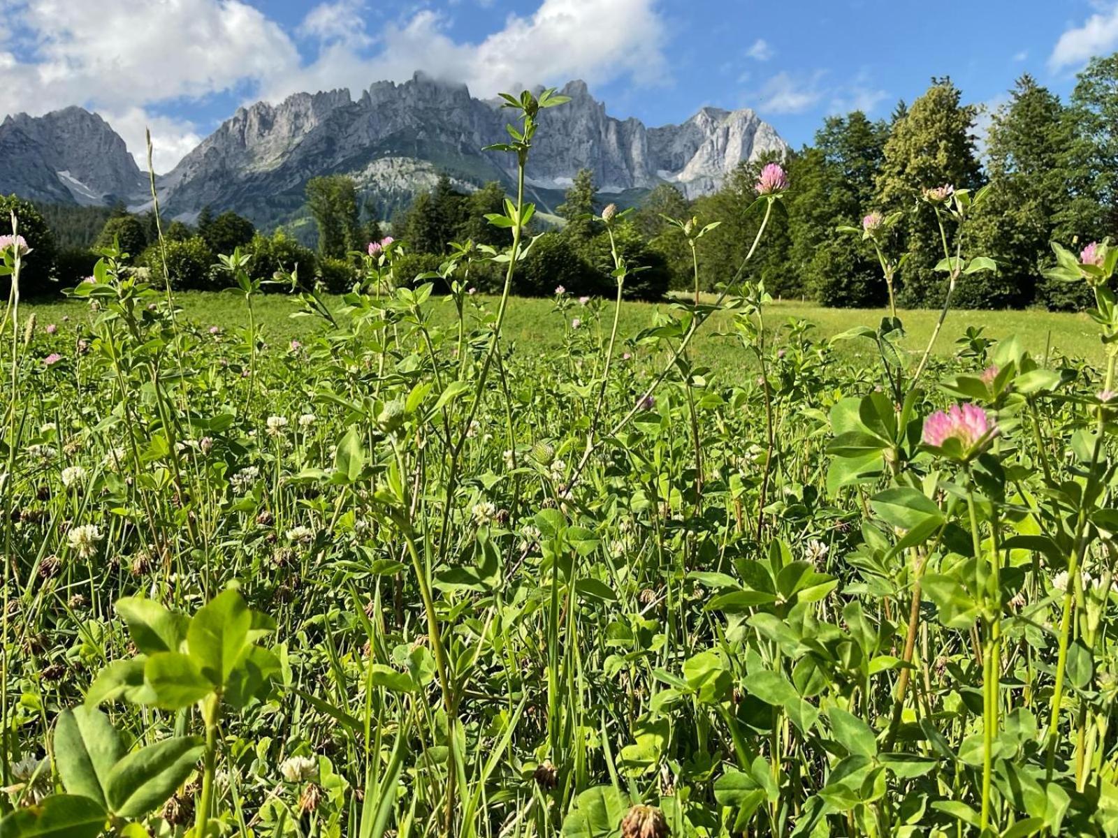 Chalet Belle Kitz By Belle Stay คิทซ์บือห์ ภายนอก รูปภาพ